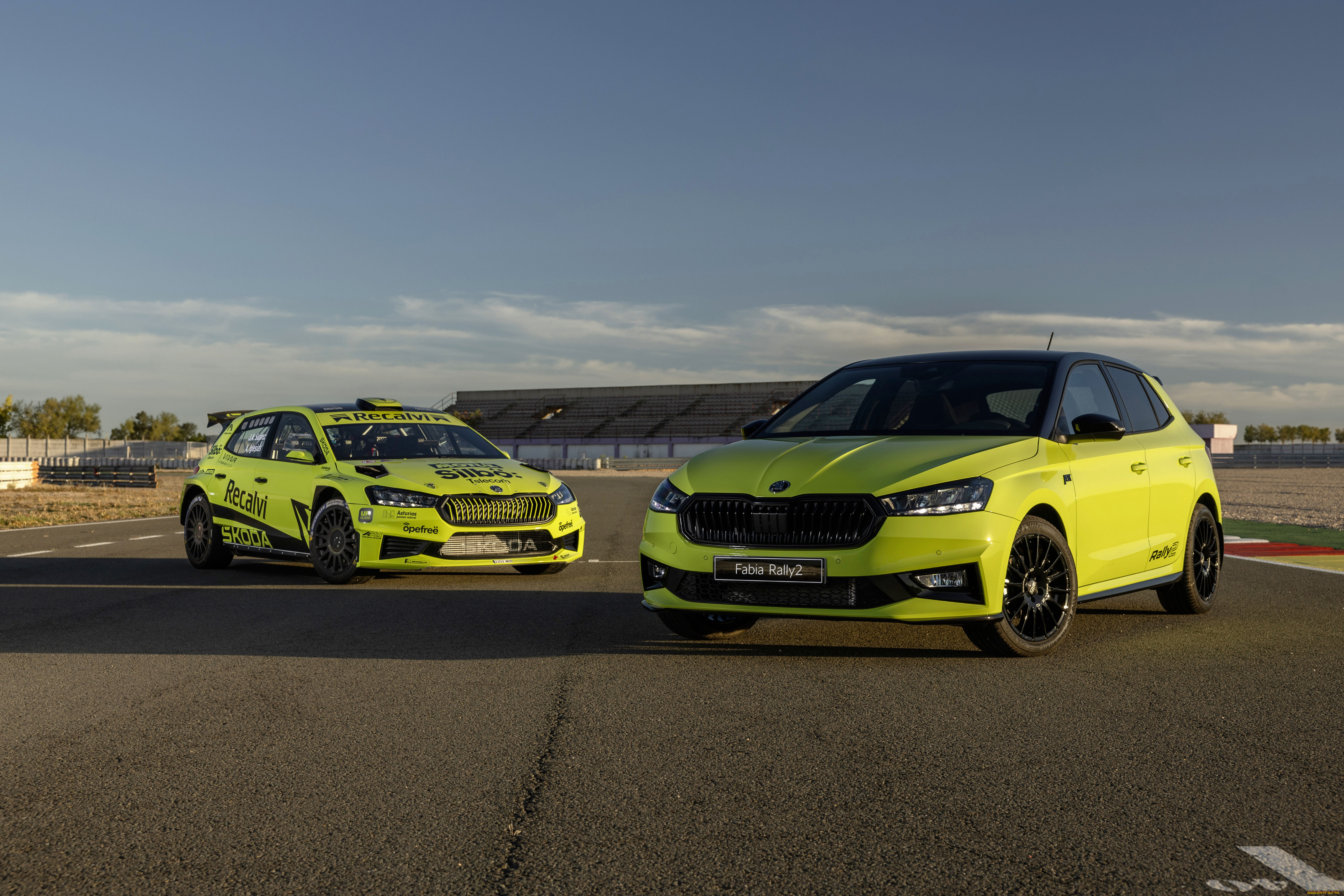 ����������, skoda